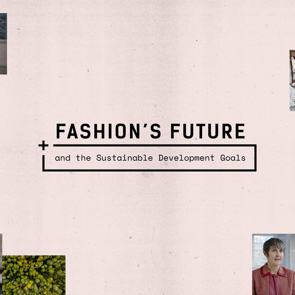 Fashion's Future: Sustainable Development Goals Course | Ethical Influencers