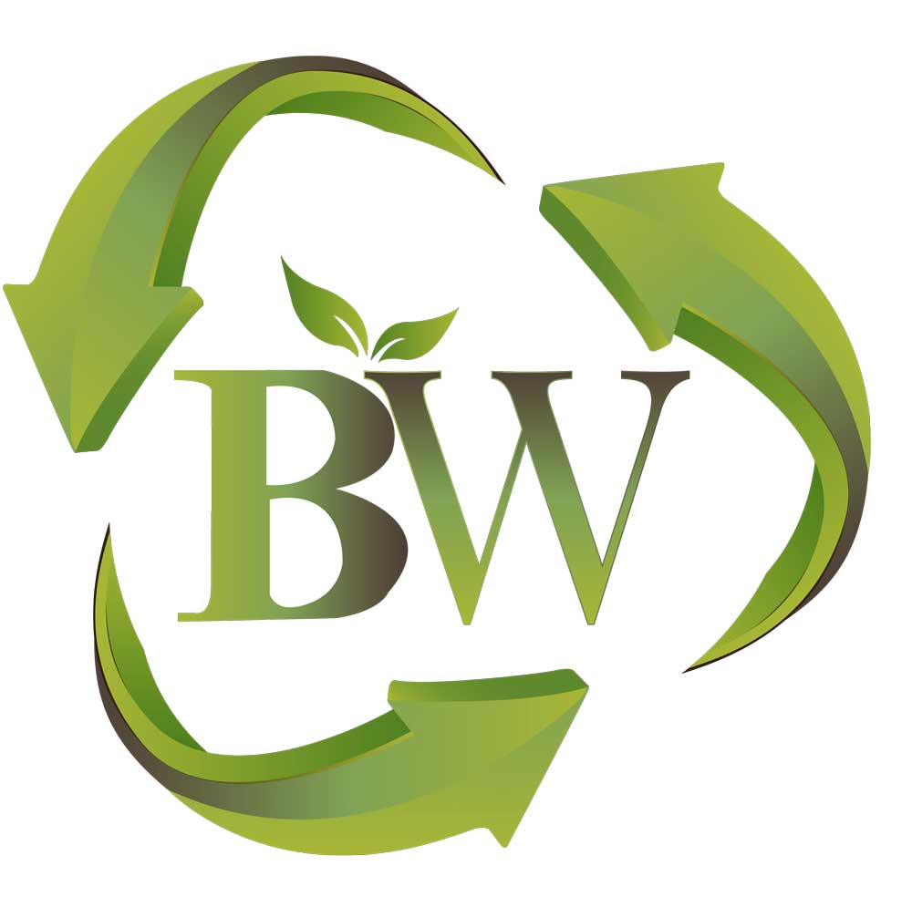 BagWasher Logo